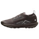 Nike Pegasus Trail 5 Gore-Tex
